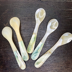 Thìa vỏ xà cừ - đuôi ốc biển cao cấp (CTH739) An kem/xúc gia vị/thìa cafe - An toàn cho sức khỏe 