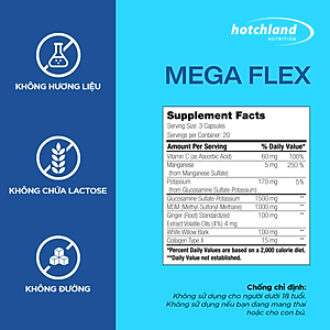 Viên uống xương khớp Glucosamine hỗ trợ tái tạo sụn khớp, giảm sưng đau khớp Mega Flex - Hàng chính hãng Hotchland Nutrition Việt Nam [Hộp 60 viên] - HL4646