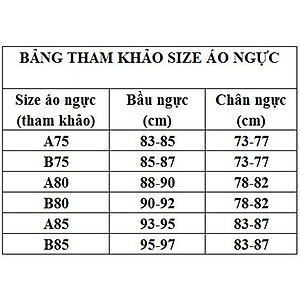 SIÊU SALE - Áo lót Boya ren mút mỏng có gọng BOYA 522B