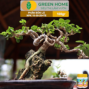 Phân Bón Lá Đầu Trâu MK 501-701-901, GreenHome,Chai 100GR,Đặc Biệt Dành Cho Hoa Lan Và Cây Cảnh