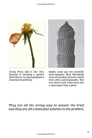 Sách Whatever You Think, Think the Opposite