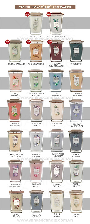 Nến ly vuông Elevation Yankee Candle size S - Exotic Bergamot (96g)