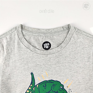 Áo thun bé trai BIGFOX - MISS MEOW size đại, áo cho bé chất cotton phong cách Âu Mỹ in Khủng Long 11 - 40 kg QATE 01