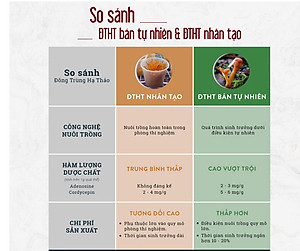 Đông trùng hạ thảo bán tự nhiên Dược Quý Đường hộp 20g - Hỗ trợ bổ phế, ích can thận, bồi bổ cơ thể