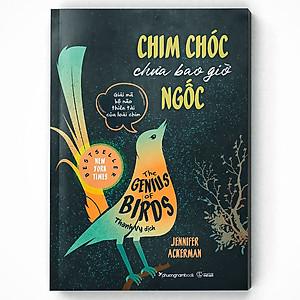 Sách Chim Chóc Chưa Bao Giờ Ngốc (Giải Mã Bộ Não Thiên Tài Của Loài Chim)