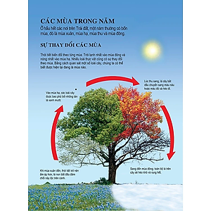 Sách Bách Khoa Tri Thức Dành Cho Trẻ Em