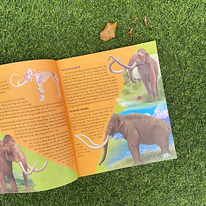 Bách Khoa Động Vật Dành Cho Trẻ Nhỏ - Động Vật Tiền Sử