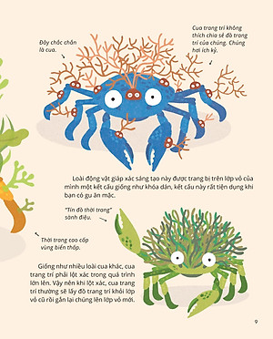 100++ Bí Ẩn Về Tự Nhiên - Những Động Vật Kỳ Diệu Nực Cười Nhất