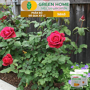 Phân bò Lavamix, bao 3dm3, đã qua xử lý, không mùi hôi, hữu cơ tiện lợi 