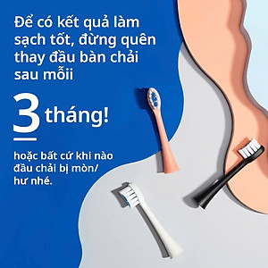 [Chính Hãng] Combo 3 Đầu Bàn Chải Điện Thay Thế Zenyum Sonic - Công Nghệ Singapore - Xanh Mint
