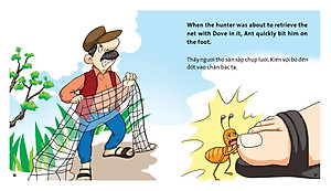 Combo 4 quyển Truyện tranh ngụ ngôn dành cho thiếu nhi ( Song Ngữ Anh - Việt )cò và cáo+ chú bé chăn cừu+ kiến và chim bồ câu+ bộ lông mượn