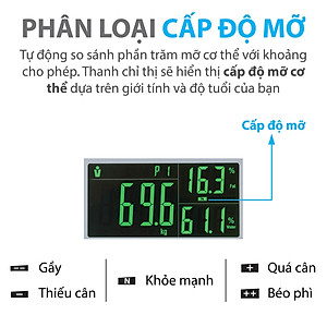 Cân sức khỏe điện tử thông minh Genky - phân tích cơ thể, theo dõi mỡ, cơ, nước, xương, calo, màn hình siêu rộng