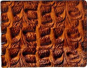 Bộ Ví & Thắt Lưng Nam Vân Cá Sấu Huy Hoàng HT2116-HT4116 (23 x 11,5 cm) - Vàng