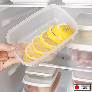 Hộp nhựa đựng thực phẩm nắp déo Fitin Pack các cỡ nội địa Nhật Bản