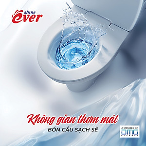 Viên Treo Bồn Cầu Evershine 54GR Hương Chanh