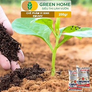 Chế Phẩm Vi Sinh EM Greenhome, Emuniv, Gói 200gr, Dùng Ủ Phân Bón Hữu Cơ, Xử Lý Rác Thải Gia Đình, Phân Huỷ Nhanh