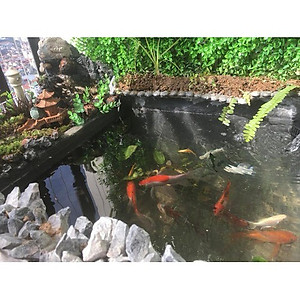 [1Kg, 5Kg, 10Kg, 18Kg] Sơn Chống Thấm Sàn Mái Lộ Thiên TAIKO NITTON (Gốc Acrylic) - Tặng Kèm Vải Kết Cấu Và Chổi Lăn Sơn - Chống Thấm Sàn Mái, Máng Xối, Ban Công Lô Gia, Bể Nước, Bể Cá, Bề Mặt Cát Xi Măng (Hiệu quả hơn khi pha với Xi Măng