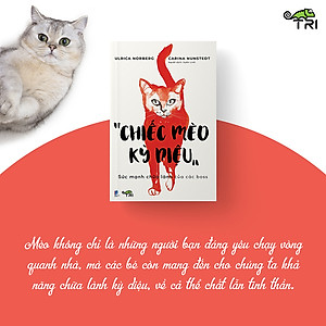 Sách Chiếc Mèo Kỳ Diệu