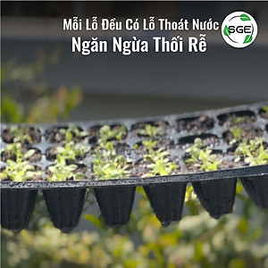 Khay Gieo Hạt/ Khay Ươm Cây Giống GT. Cho Năng Suất Cao, Cây Nhanh Lớn, Cây Con Khỏe, Dễ Sinh Trưởng. Thương Hiệu SGE