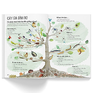 Sách A Lê Hấp! Thế Giới Bọ