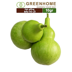 Hạt Giống Bầu Hồ Lô Greenhome, Gói 1g, Dễ Trồng Quanh Năm, Nảy Mầm Cao, Thu Hoạch Nhanh, Năng Suất Cao T11