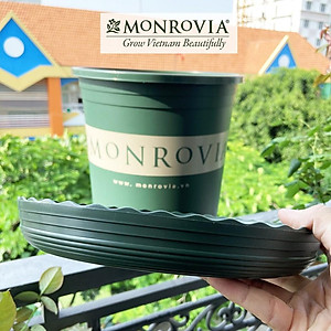 Đĩa lót chậu nhựa trồng cây Monrovia chậu trồng cây, chậu cây cảnh mini, để bàn, treo ban công, treo tường, chính hãng
