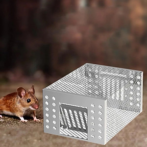 Lồng Bẫy Chuột Bắt Chuột Nhỏ Chuột To Siêu Nhạy Bẫy Chuột Thông Minh