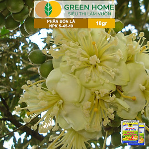 Phân Bón Npk 5-45-10, Greenhome, Đầu Trâu, Gói 10Gr, Phân Bón Kích Ra Hoa, Đậu Trái