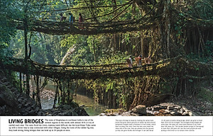 Trees, Leaves, Flowers And Seeds: A Visual Encyclopedia Of The Plant Kingdom