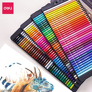 Bút chì màu gốc dầu cao cấp Deli - 6565 / 6566 / 6567