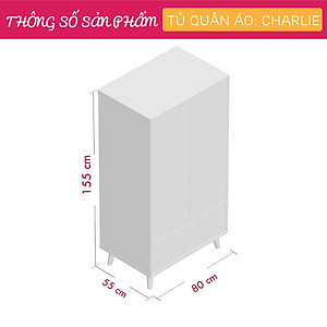 Tủ áo gia đình thiết kế hiện đại SMLIFE Charlie