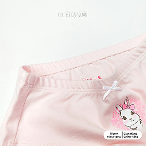 Quần Chip Tam Giác Cho Bé Gái, Set 3 Quần Lót 3 Màu Chất Cotton Cao Cấp, Mềm Mịn, Kháng Khuẩn Cho Bé Gái Từ 10-36kg
