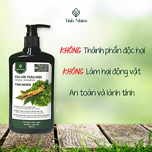Dầu Gội Thảo Mộc Nhân Sâm Tinh Nhiên chăm sóc tóc chuyên sâu, giảm rụng tóc, giúp tóc mọc dày hiệu quả