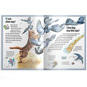 Sách Em Muốn Biết Vì Sao Ngỗng Trời Bay Xa Và Những Câu Hỏi Khác Về Chim 
Chóc