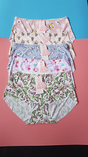 Combo 5 chiếc quần lót nữ thun lạnh chất vải co giãn 4 chiều điều hòa cực thông thoáng họa tiết 3D trẻ trung