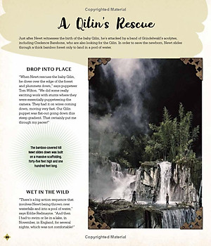 Fantastic Beasts - The Secrets Of Dumbledore: Movie Magic