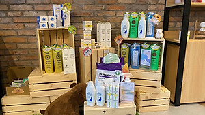 SỮA TẮM TRỊ NẤM VÀ VIÊM DA CHO CHÓ MÈO PRUNUS DR. MICOCHLODINE SHAMPOO 200ml