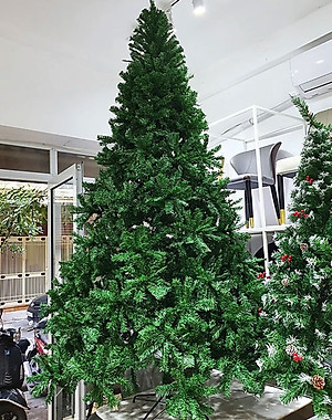 Cây thông noel màu xanh 1m2 - Tán dày và đẹp, cây thông chắc chắn và dể tháo lắp