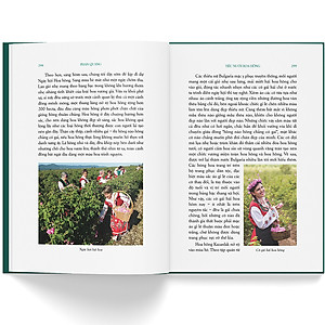 Sách Du Ký Phan Quang - Tiếc Nuối Hoa Hồng