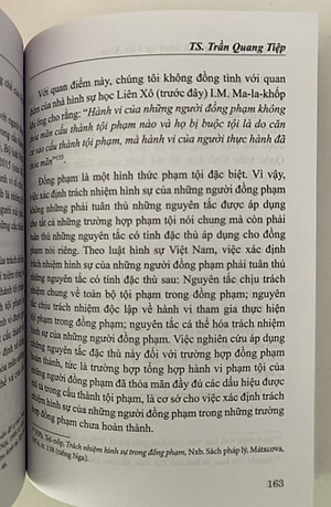 Đồng phạm trong luật hình sự Việt Nam