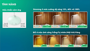 Đèn bàn học Rạng Đông đèn bàn LED cảm ứng Model RD-RL-21.LED