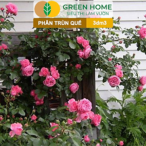 Phân Trùn Quế Bột Greenhome, Bao 3dm3, Nguyên Chất, Bổ Sung Dinh Dưỡng, Cải Tạo Đất