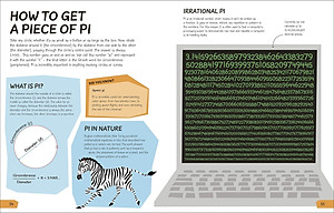 Sách What's the Point of Maths? (Hardback)