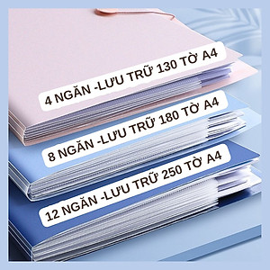 File đựng tài liệu A4 / Túi tài liệu A4 4-8-12 ngăn phân trang – lưu trữ tài liệu