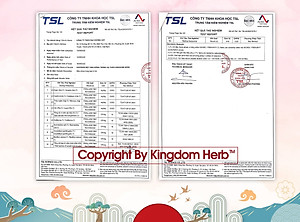 Saffron mật ong đông trùng hạ thảo Kingdom Herb chính hãng thượng hạng hộp 312g (tặng bình thuỷ tinh và cây lấy mật)