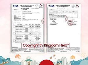 Mật ong saffron đông trùng hạ thảo Kingdom Herb chính hãng thượng hạng hộp 50g (tặng bình thuỷ tinh và cây lấy mật)