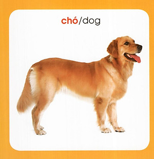 Từ Điển Hình Ảnh Cho Bé: Động Vật (Tái Bản 2019)