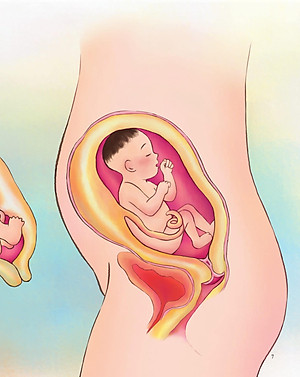 Sách Giáo Dục Giới Tính Và Nhân Cách Dành Cho Bé Gái - Tớ Biết Quý Trọng Cơ Thể Mình (Dạy Trẻ Cách Nhận Biết Và Bảo Vệ Các Bộ Phận Cơ Thể)