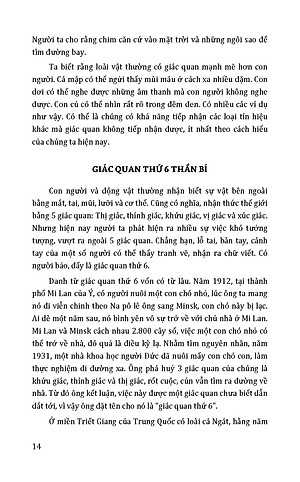 Những Khả Năng Kỳ Diệu Của Con Người