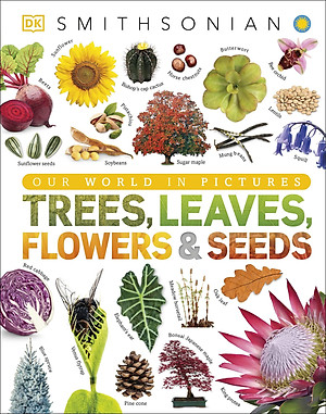 Trees, Leaves, Flowers And Seeds: A Visual Encyclopedia Of The Plant Kingdom